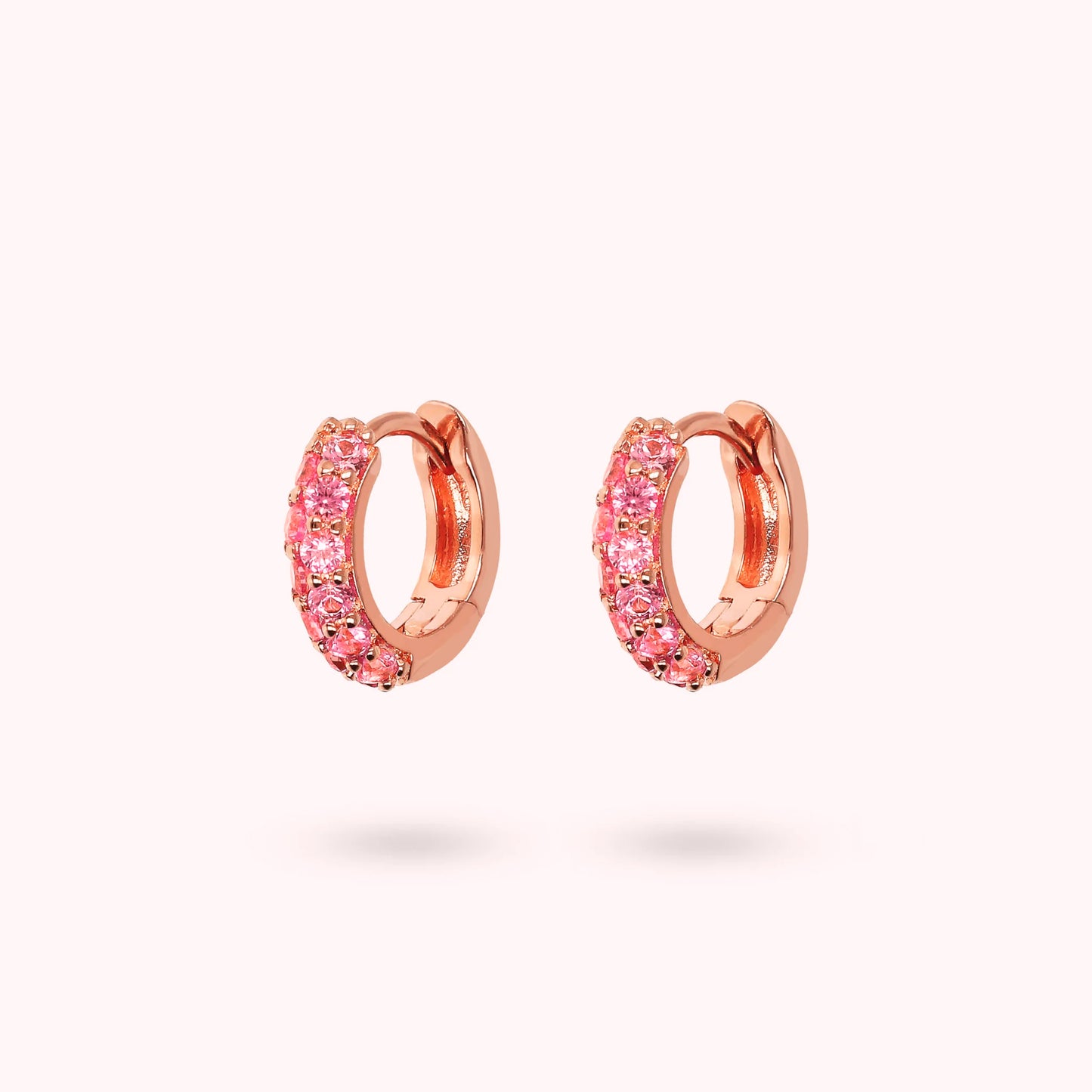 WSBZ02159.ROSE_1