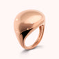 M16731RBR.RGXXIT_1.webp