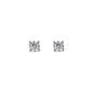 PRDM091.WH_1