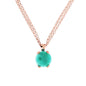 WSBZ00280.LB_1