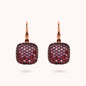 WSBZ00615.ROSE_1
