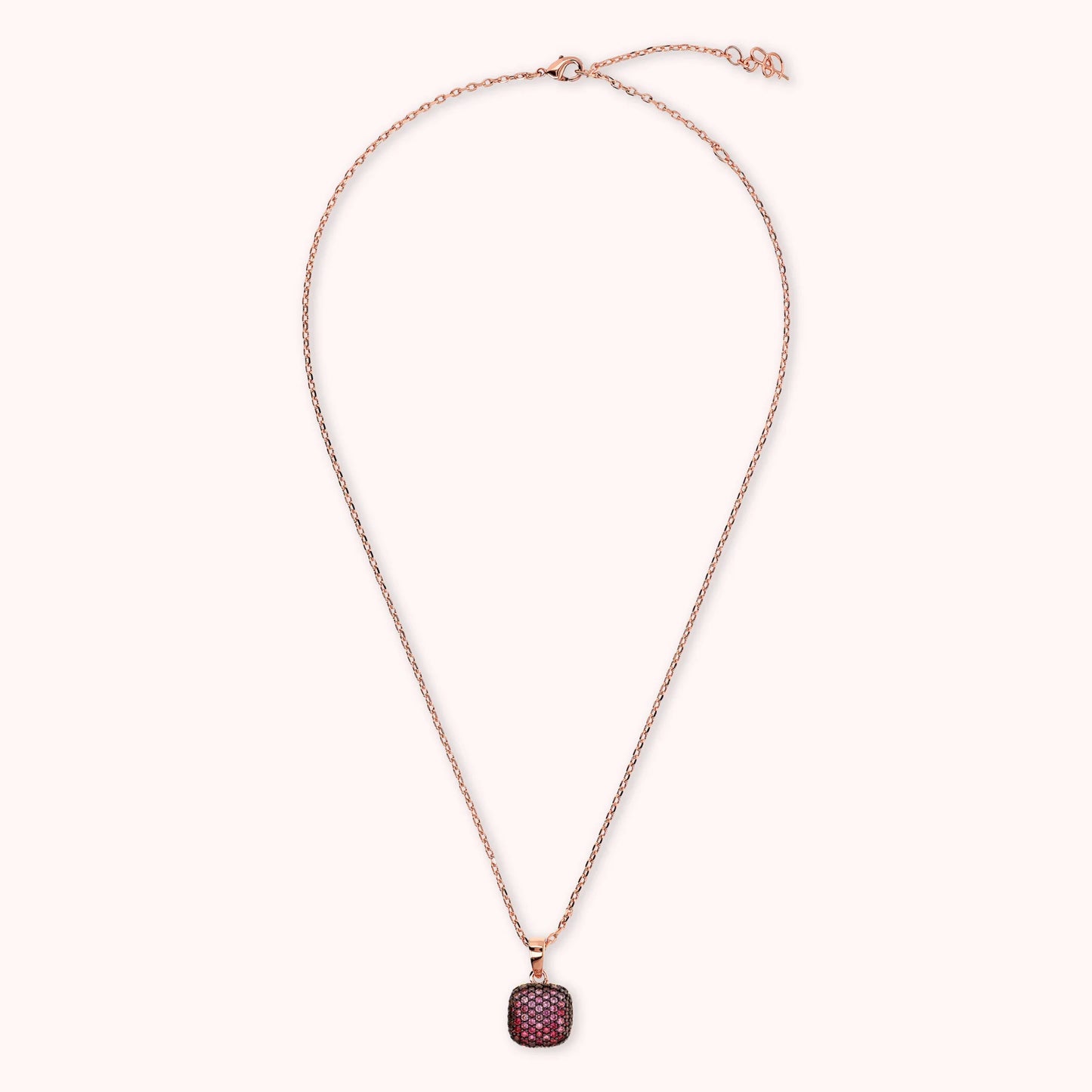 WSBZ00617.ROSE_3