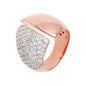 WSBZ00779.WR_1