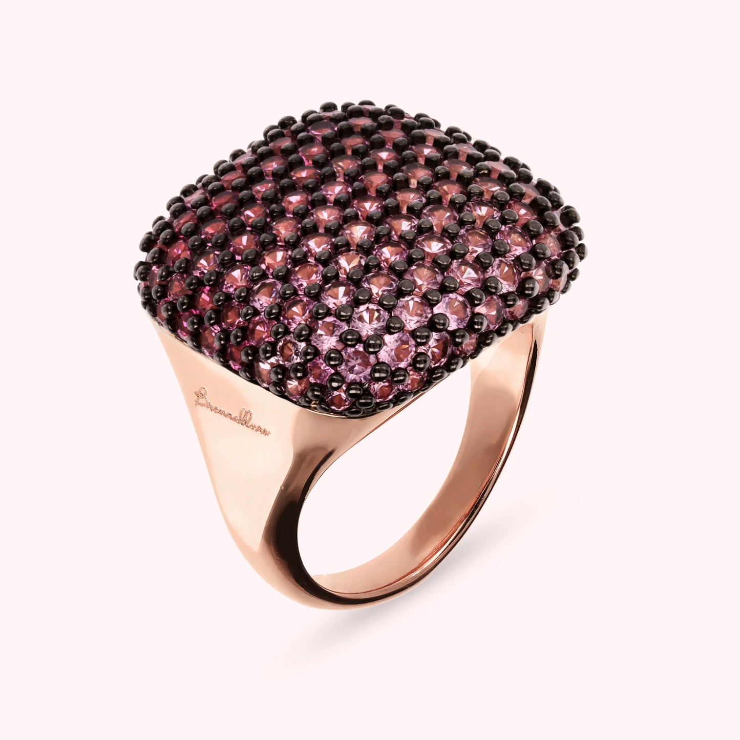 WSBZ01126.ROSE_1