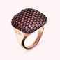 WSBZ01126.ROSE_1