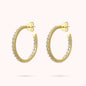 WSBZ01935Y.Y_1.webp