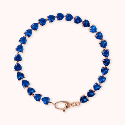 WSBZ02023.BLU-LG_1