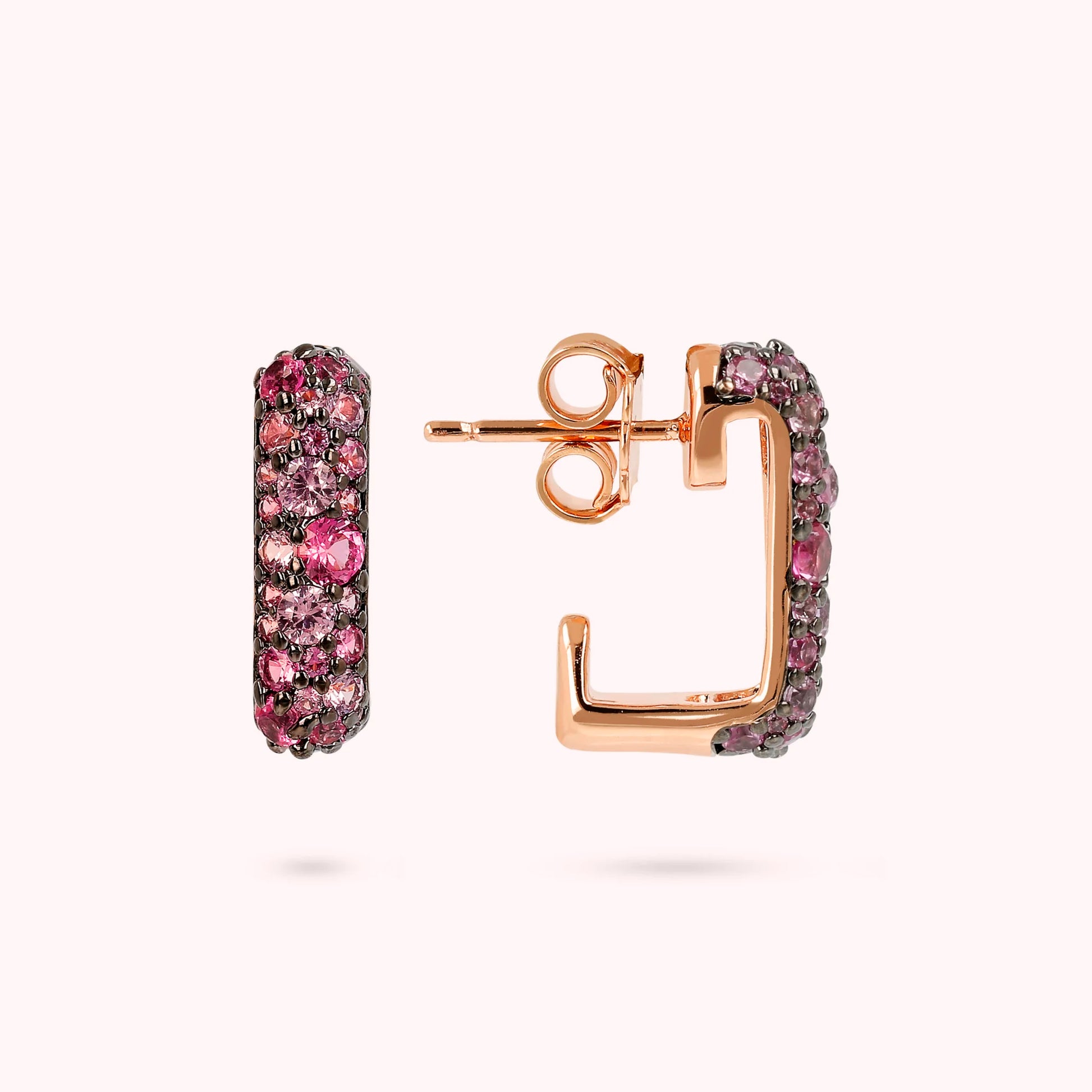 WSBZ02103.ROSE_3