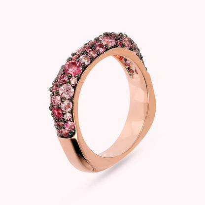 WSBZ02104.ROSE_1