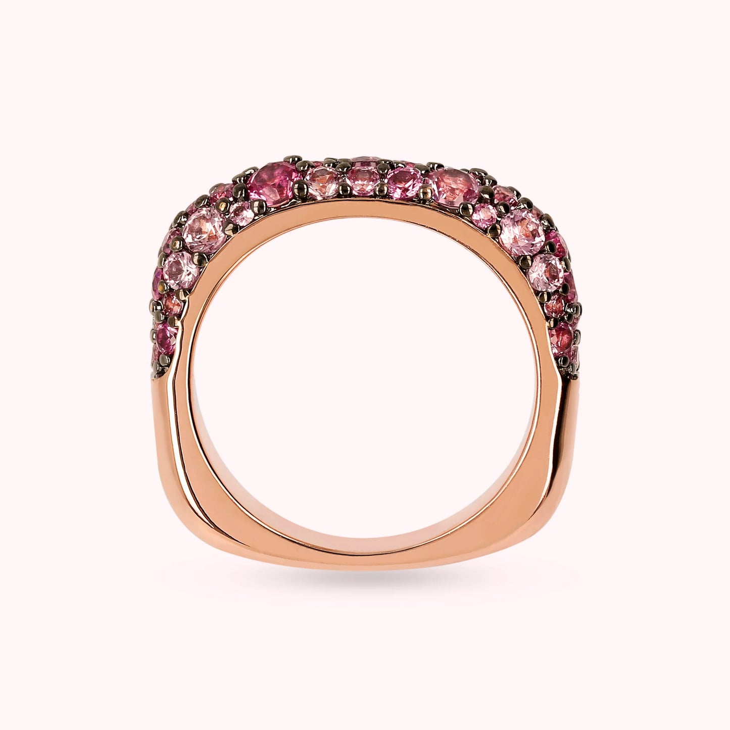 WSBZ02104.ROSE_3