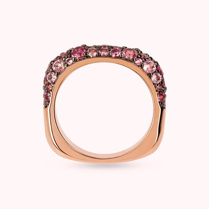 WSBZ02104.ROSE_3