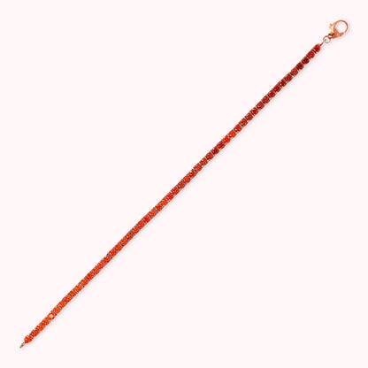 WSBZ02112.MULTIRED_3