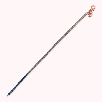 WSBZ02112.MULTIBLUE_3