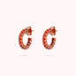 WSBZ02118.ORANGE_1