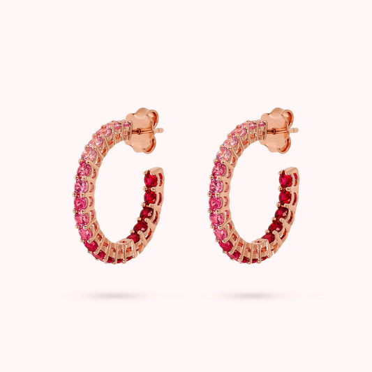 WSBZ02119.ROSE_1