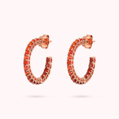 WSBZ02119.ORANGE_1