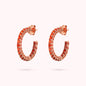 WSBZ02119.ORANGE_1