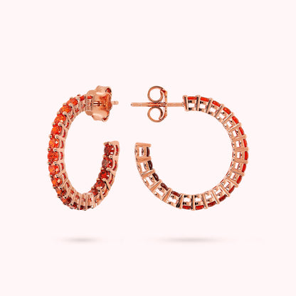 WSBZ02119.ORANGE_3