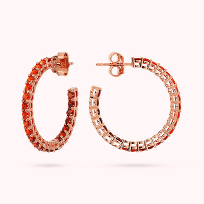 WSBZ02120.ORANGE_3
