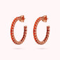WSBZ02120.ORANGE_1