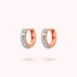 WSBZ02159.WHITE_1
