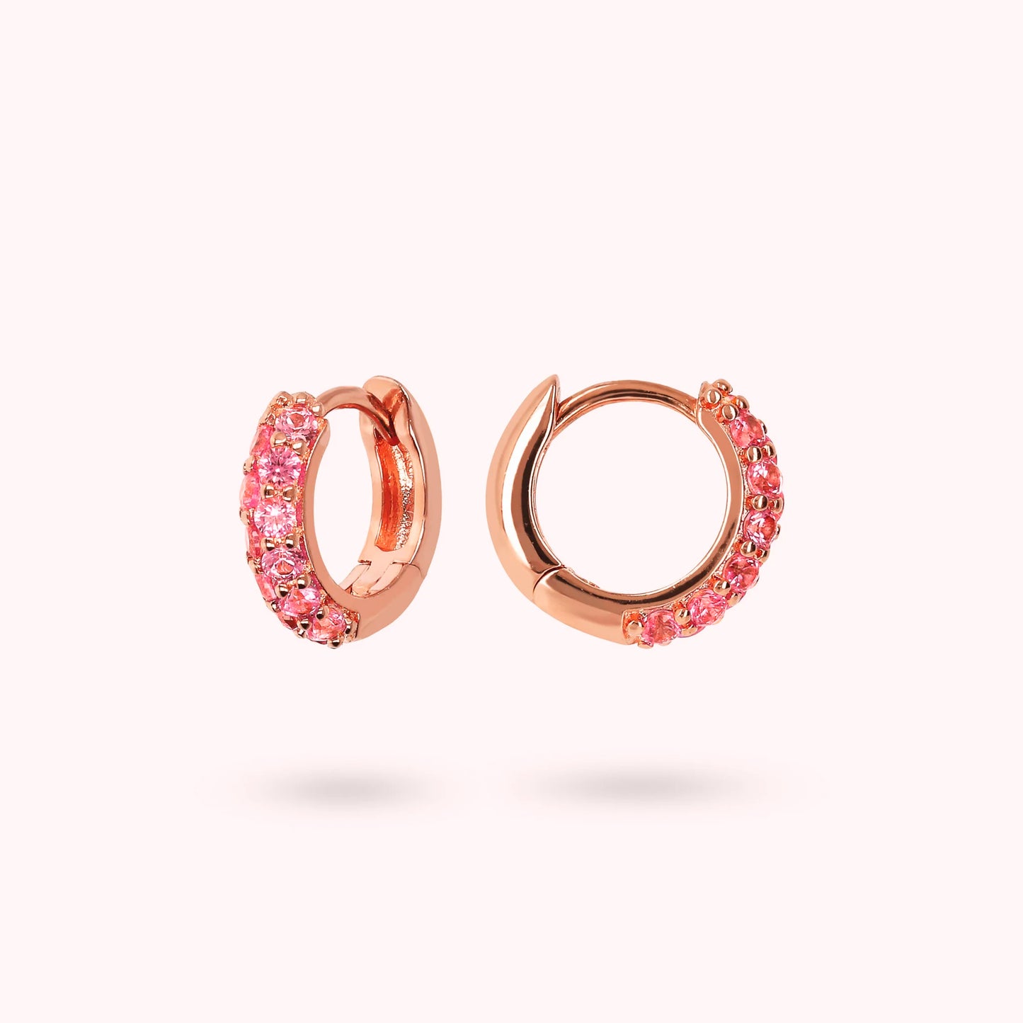 WSBZ02159.ROSE_3