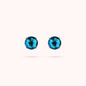 WSBZ02311.BZ_1