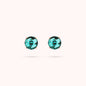 WSBZ02311.GT_1