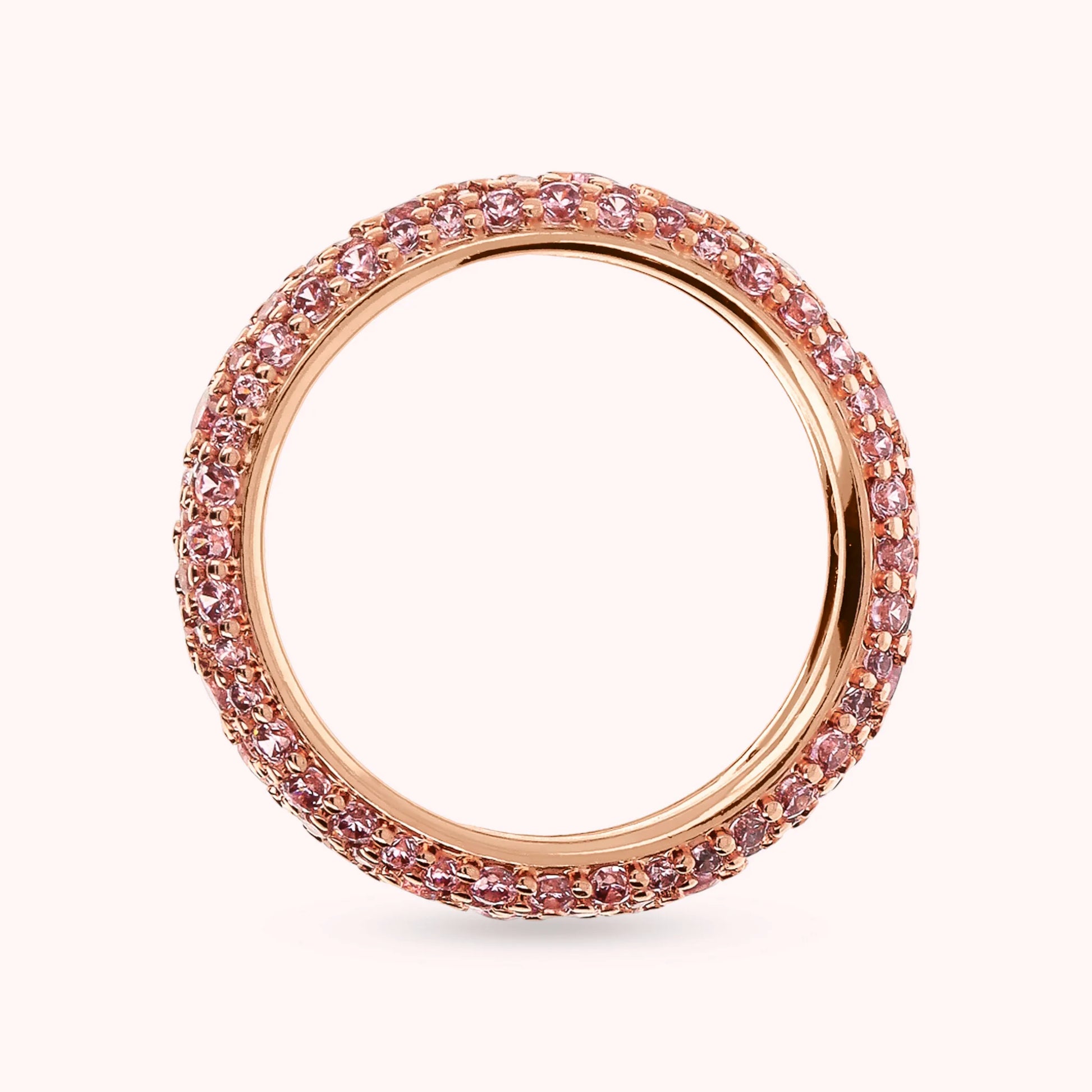 WSBZ02342.ROSE-CZ_3