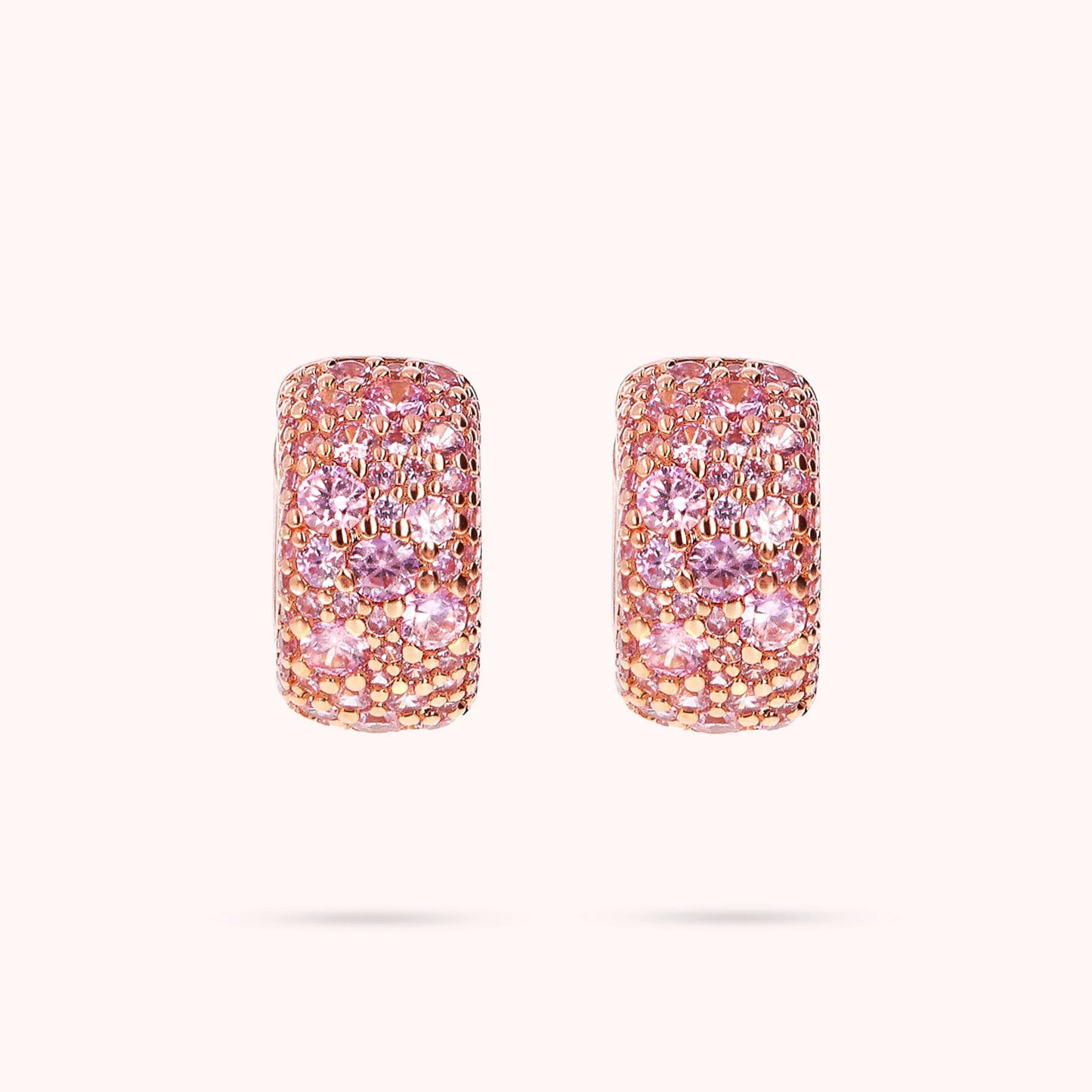 WSBZ02371.ROSE-CZ_1
