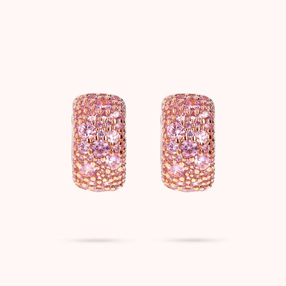 WSBZ02371.ROSE-CZ_1