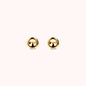 WSBZ02441Y.YG_1.webp