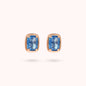 WSBZ02464.BT_1.webp