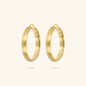 WSET00716.BIG_1