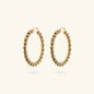 WSET00808.YG_1
