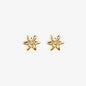 WSGD90153.YG_1.webp