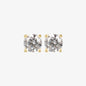 WSGD90344.YG_1.webp