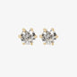 WSGD90345.YG_1.webp