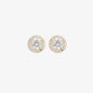 WSGD90376.YG_1.webp