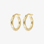 WSGD90388.YG.webp