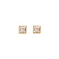 WSGD90469.YG_1