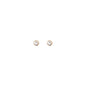 WSGD90491.YG_1.webp