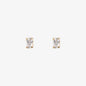 WSGD90496.YG_1.webp