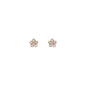 WSGD90497.YG_1.webp