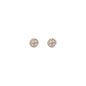 WSGD90498.YG_1.webp