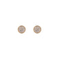 WSGD90504.YG_1.webp