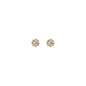 WSGD90518.YG_1.webp