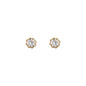 WSGD90522.YG_1.webp