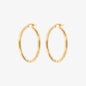 WSGD90633.YG_1.webp