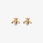 WSGD90691.BIC_1.webp
